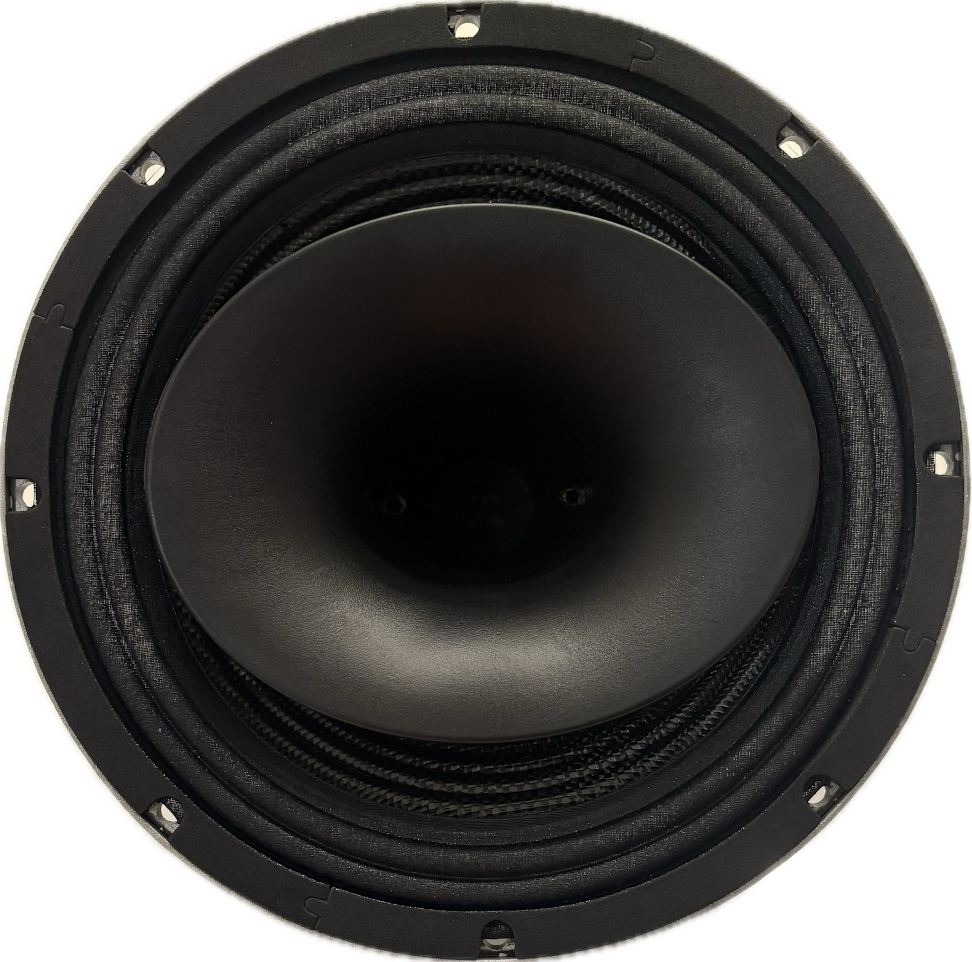 Explicit Audio LP10N