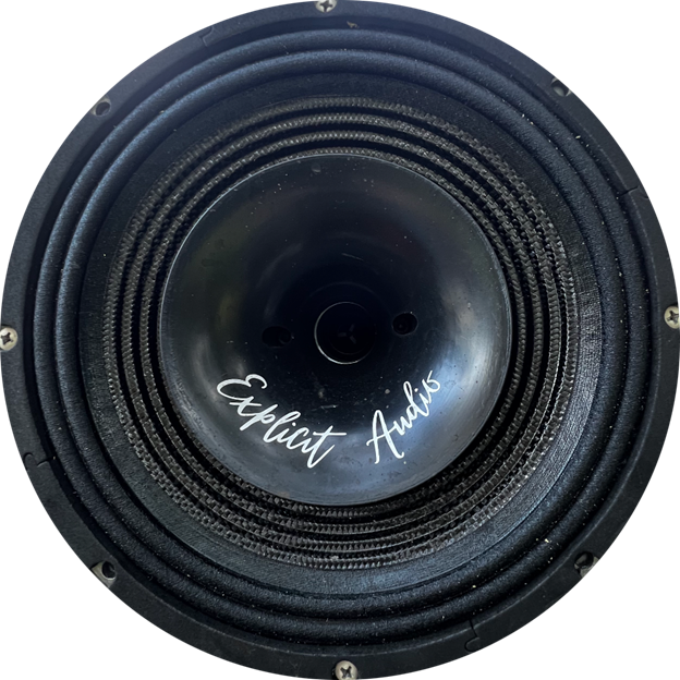 Explicit Audio LP10N